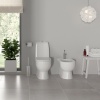 Унитаз-компакт Best-люкс SL DM (Sanita Luxe) белый